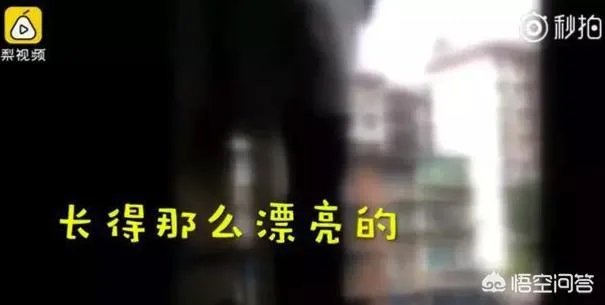 四川泸州一民警机智“撩妹”救下轻生女孩，你怎么看？