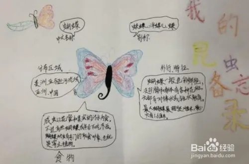 昆虫备忘录怎么写