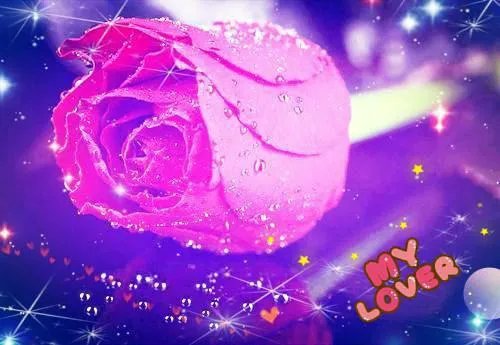 姜茶穿越小说免费阅读