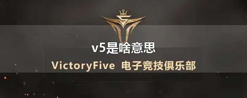 v5是啥意思