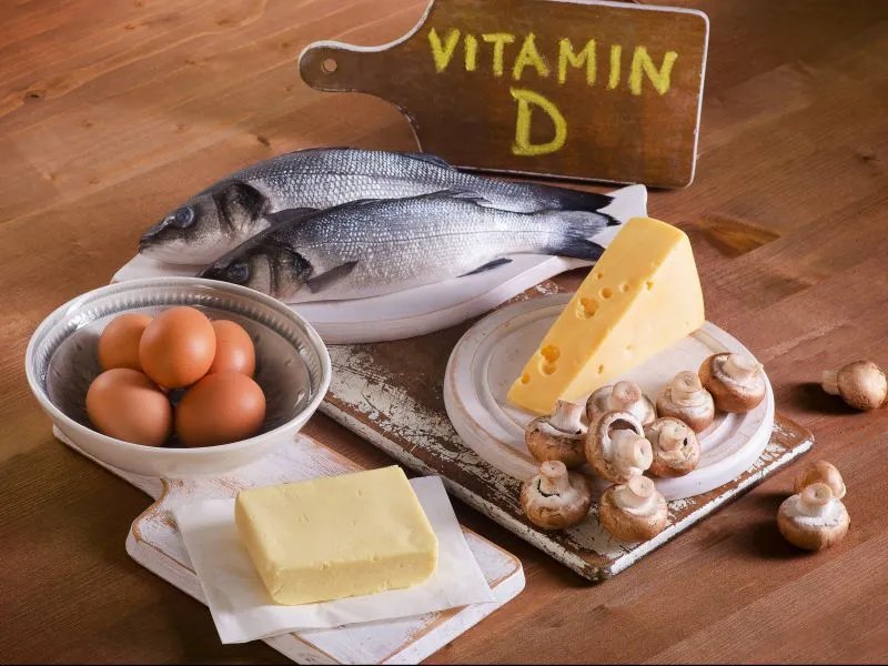 蛋白质含量高的食物