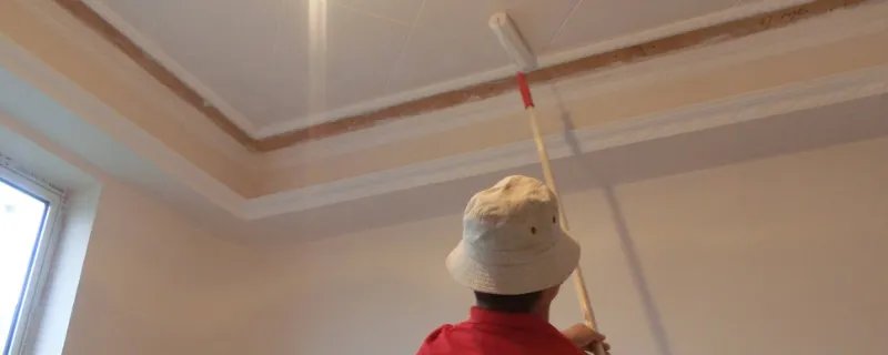 大白和乳胶漆的区别是什么