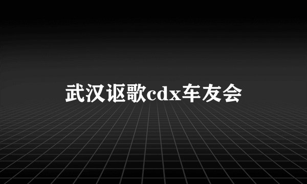 武汉讴歌cdx车友会
