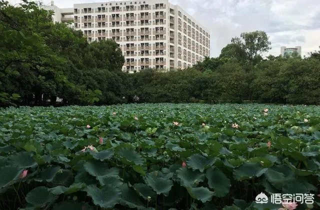 五邑大学怎么样?