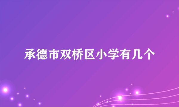 承德市双桥区小学有几个