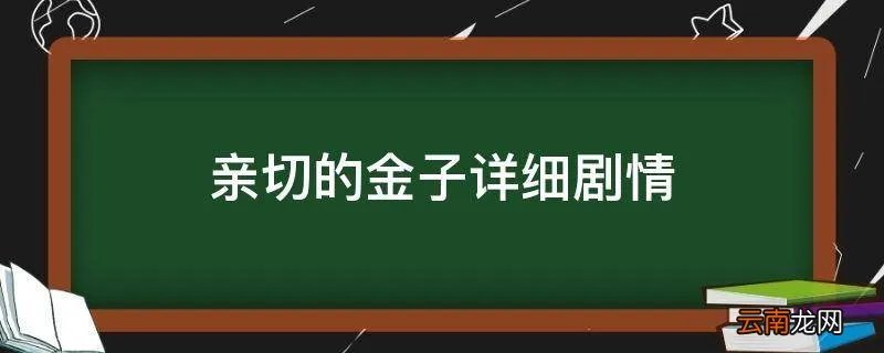 亲切的金子详细剧情