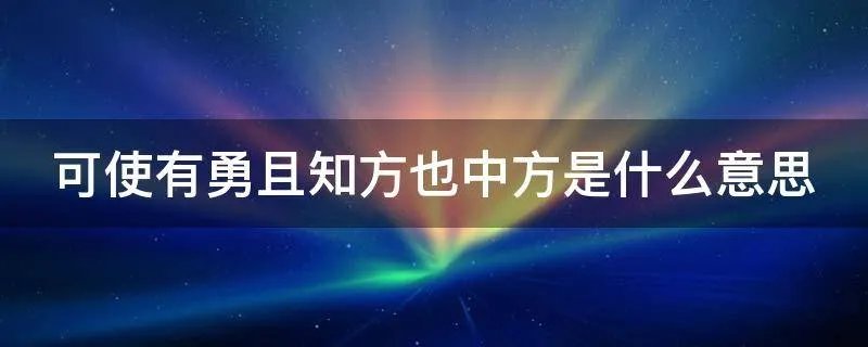 可使有勇且知方也中方是什么意思