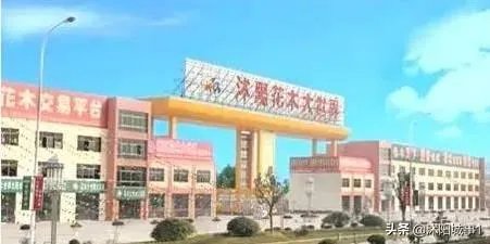 沭阳有什么景点？