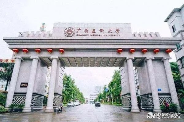 广西右江民族医学院是一所什么层次的医科大学？