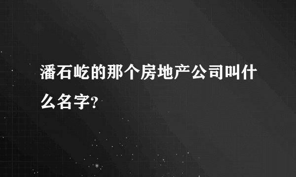 潘石屹的那个房地产公司叫什么名字？
