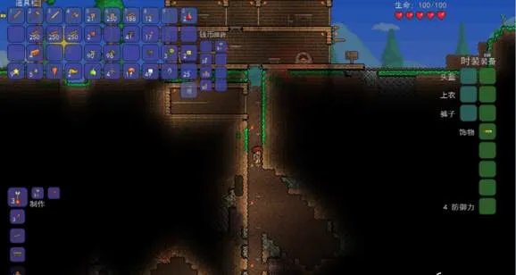 泰拉瑞亚教程地形篇 如何探索地下洞穴