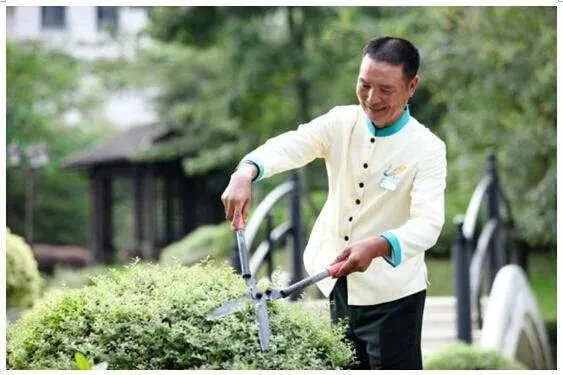 碧桂园物业怎么样