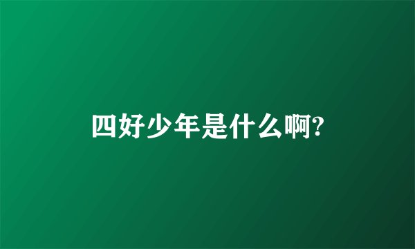 四好少年是什么啊?