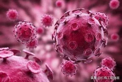 福建进入战时状态，关键词是海鲜，你怎么看？