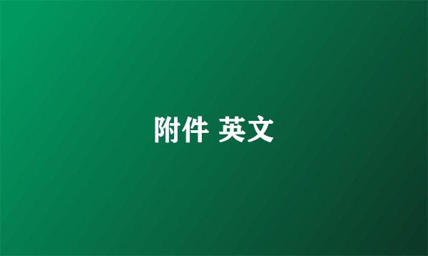 附件 英文