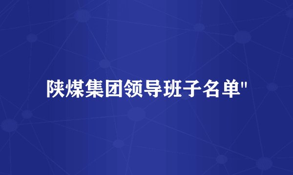 陕煤集团领导班子名单