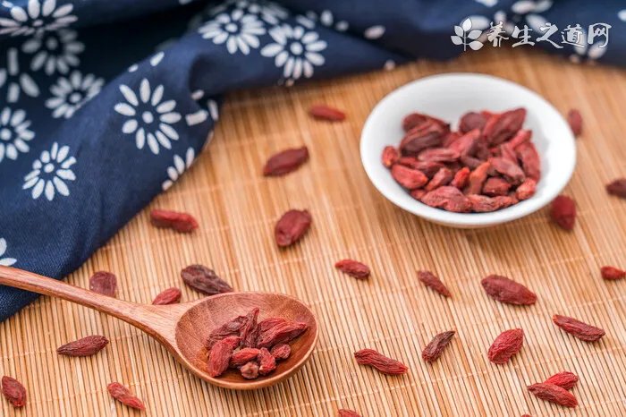 小飞鼠吃什么食物