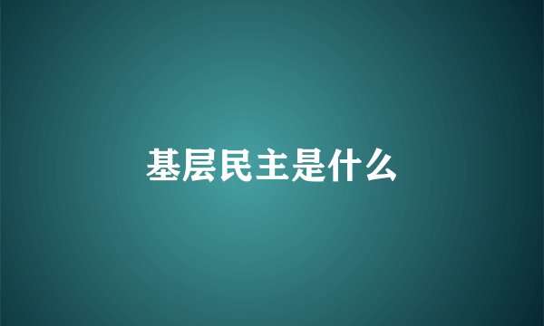 基层民主是什么
