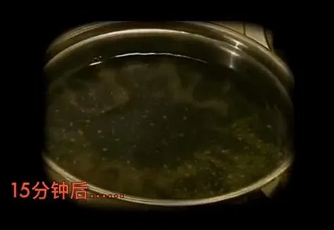 可乐煮30分钟会怎样?看完不敢喝(图)