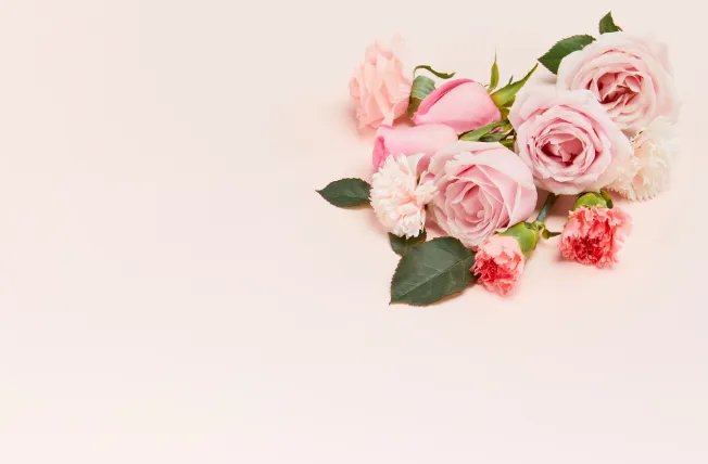 粉玫瑰代表什么