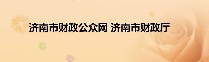济南市财政公众网 济南市财政厅