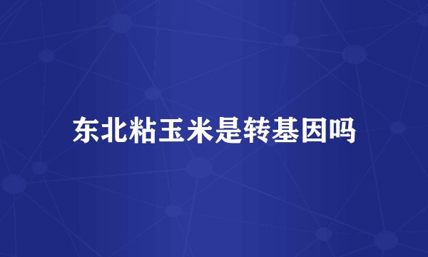 东北粘玉米是转基因吗