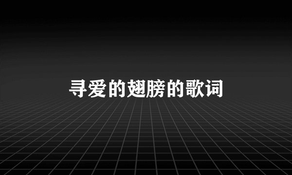 寻爱的翅膀的歌词