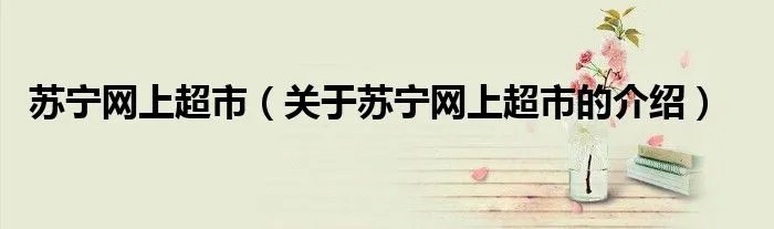 苏宁网上超市（关于苏宁网上超市的介绍）