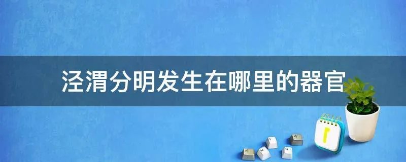 泾渭分明发生在哪里的器官