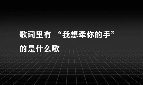 歌词里有 “我想牵你的手” 的是什么歌