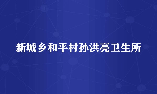 新城乡和平村孙洪亮卫生所