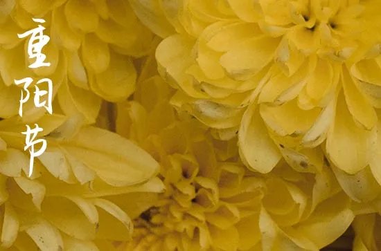 重阳节的来历30字