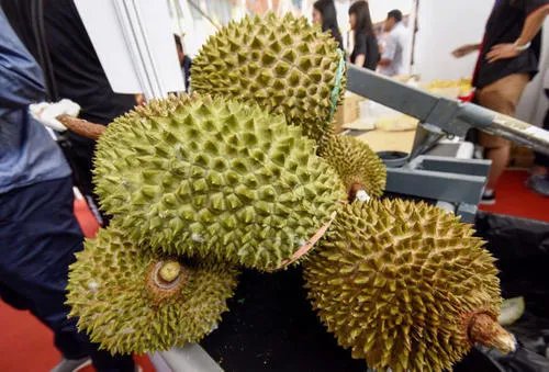 广西哄抢榴莲的村民食物中毒，这是谁的责任？