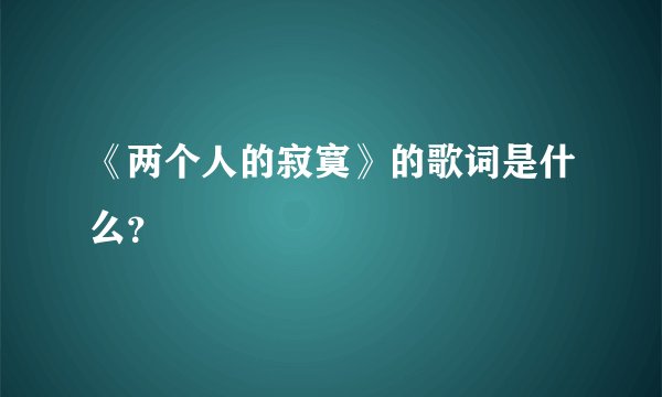 《两个人的寂寞》的歌词是什么？
