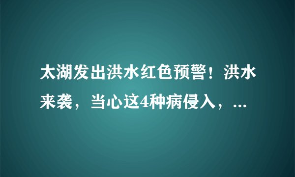太湖发出洪水红色预警！洪水来袭，当心这4种病侵入，尤其是这2种