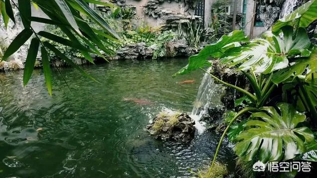 广东顺德清晖园好玩吗？