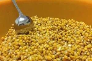 老玉米钓鱼怎么泡制？