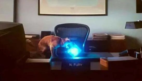 惊奇队长有几个彩蛋