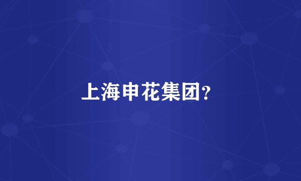 上海申花集团？