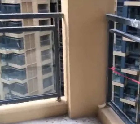 阳台未装玻璃父母看房时2岁女童坠亡谁之过?