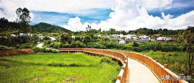 农村怎样致富？