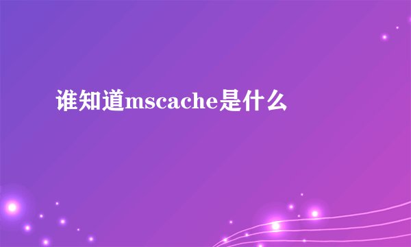 谁知道mscache是什么