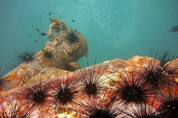 请问一副麻将牌一共有多少张牌？