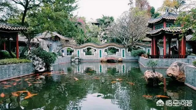 广东顺德清晖园好玩吗？