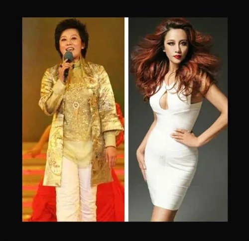 张冬玲整容前后对比照 张冬玲的老公是阿宝吗