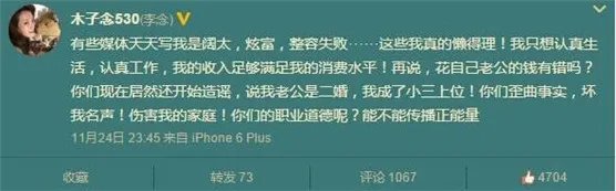 林和平为啥看上李念大几岁 揭林和平李念相识相爱经历小三上位