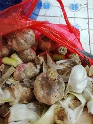 怎么做好吃 糖蒜最正宗的做法