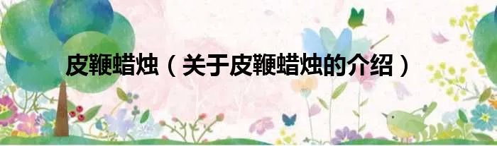 皮鞭蜡烛（关于皮鞭蜡烛的介绍）