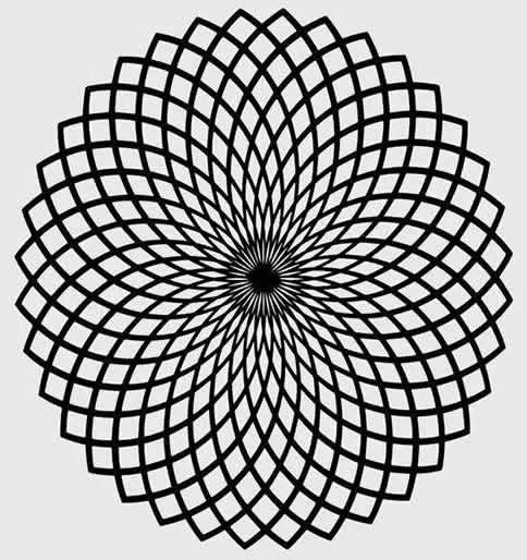 黑林错觉：黑林错觉图片,视觉方面的错觉【视频】