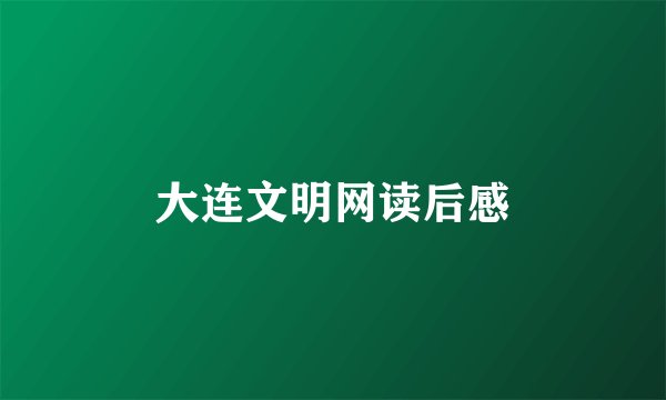 大连文明网读后感